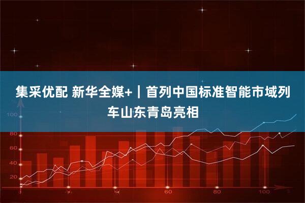 集采优配 新华全媒+｜首列中国标准智能市域列车山东青岛亮相