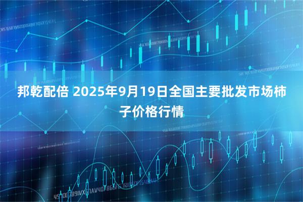 邦乾配倍 2025年9月19日全国主要批发市场柿子价格行情