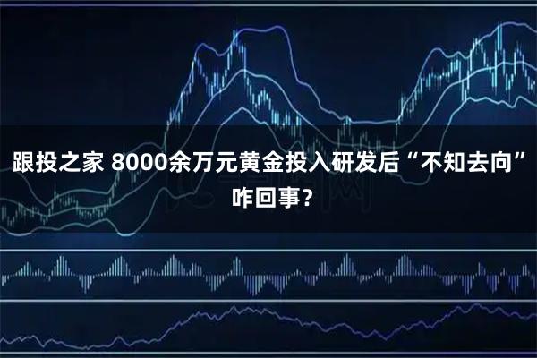 跟投之家 8000余万元黄金投入研发后“不知去向” 咋回事？