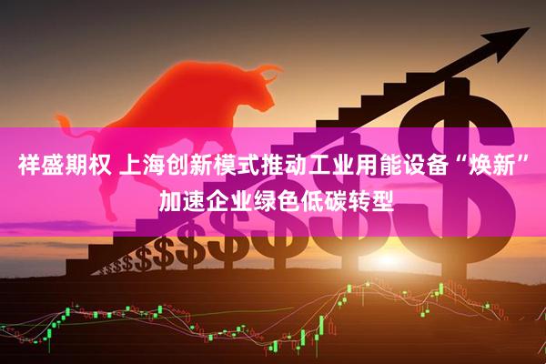 祥盛期权 上海创新模式推动工业用能设备“焕新” 加速企业绿色低碳转型