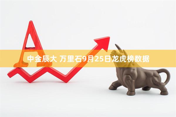 中金辰大 万里石9月25日龙虎榜数据