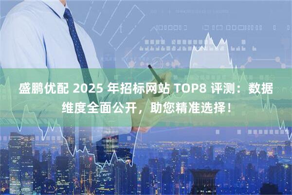 盛鹏优配 2025 年招标网站 TOP8 评测：数据维度全面公开，助您精准选择！