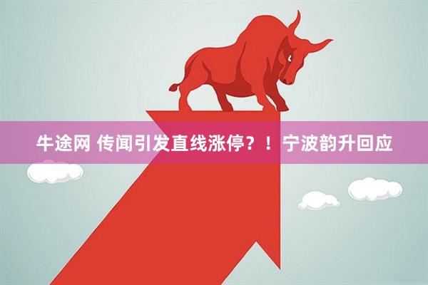 牛途网 传闻引发直线涨停？！宁波韵升回应
