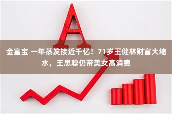 金富宝 一年蒸发接近千亿！71岁王健林财富大缩水，王思聪仍带美女高消费