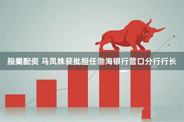 股巢配资 马凤姝获批担任渤海银行营口分行行长